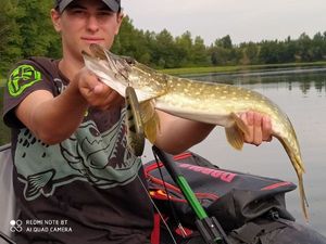 Northern Pike