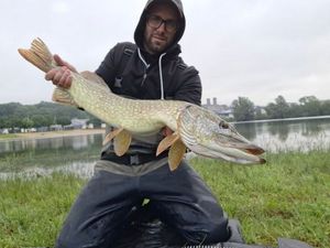 Northern Pike