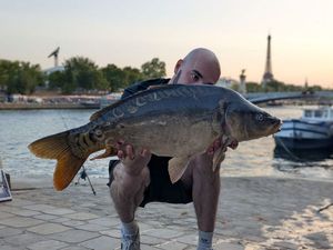 Mirror Carp