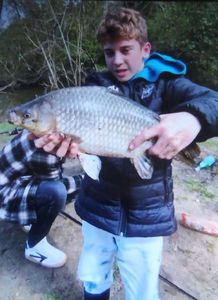 Crucian Carp