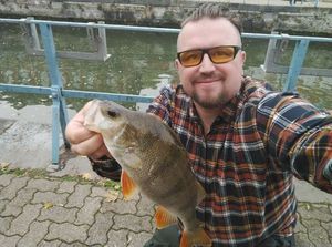 European Perch