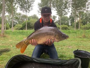 Mirror Carp
