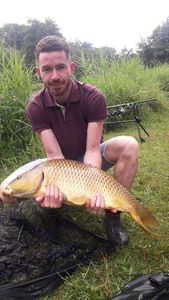 Common Carp