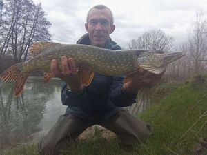 Northern Pike