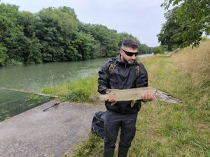 Northern Pike