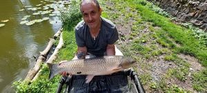 Silver Carp