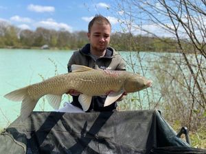 Grass Carp