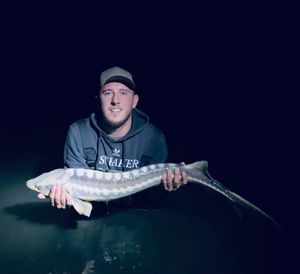 Starry Sturgeon