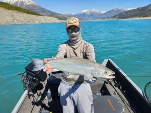 Lake Trout