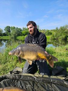 Mirror Carp