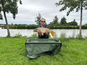 Common Carp