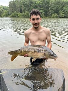 Mirror Carp