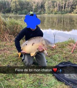 Mirror Carp
