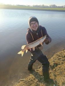 Northern Pike