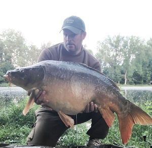 Mirror Carp