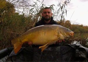 Mirror Carp