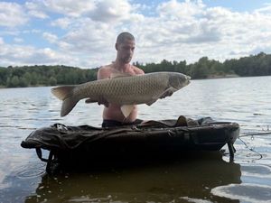 Grass Carp