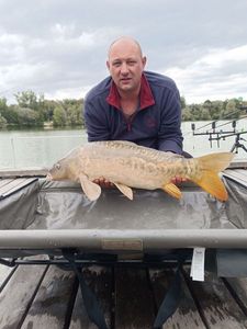 Mirror Carp