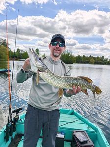 Northern Pike
