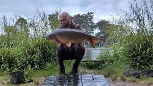 Common Carp