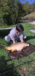 Mirror Carp