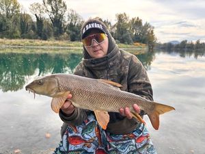 Barbel
