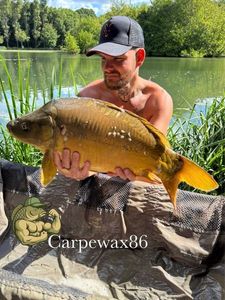 Leather Carp