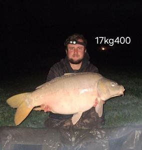 Mirror Carp