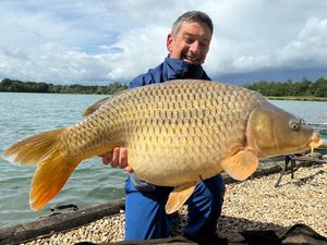 Common Carp