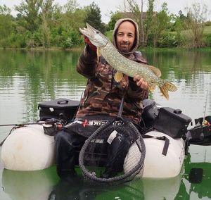 Northern Pike