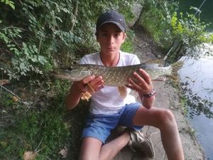Northern Pike