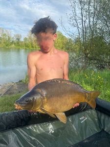 Mirror Carp