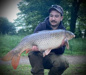 Common Carp