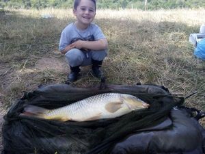 Common Carp