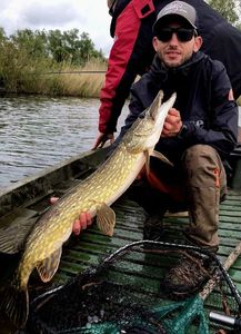 Northern Pike