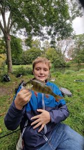 European Perch
