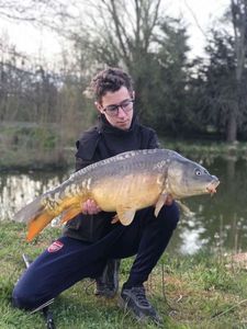Mirror Carp
