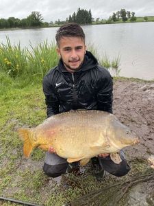 Mirror Carp