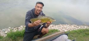 Tench