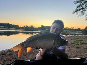 Mirror Carp