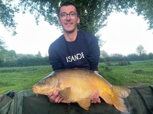 Mirror Carp