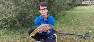 Mirror Carp