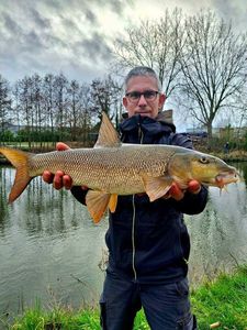 Barbel