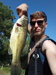 Largemouth Bass