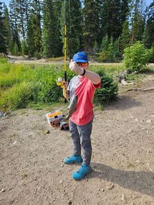 Rainbow Trout