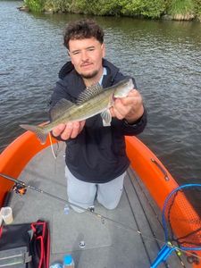 Zander