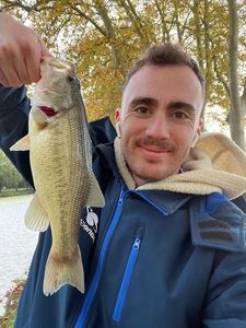 Largemouth Bass