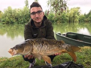 Mirror Carp