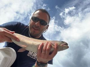 Rainbow Trout
