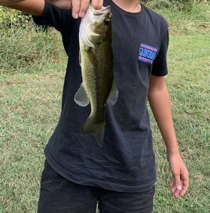 Smallmouth Bass